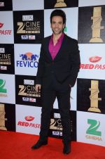 Tusshar Kapoor at zee cine awards 2016 on 20th Feb 2016